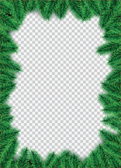 Vector christmas frame with pine branches with transparent space for design.