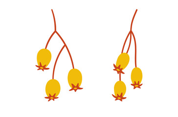 Set of seeds shrubs, yellow berries on twigs. Vector simple hand-drawn elements on white background for stickers, web design, and postcards