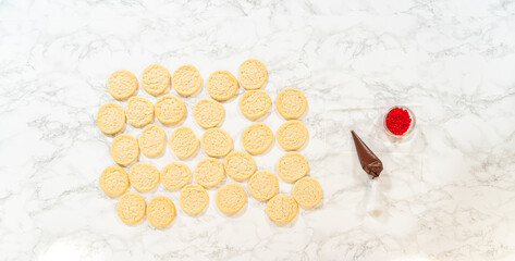 Box of Easy Last Minute Reindeer Sugar Cookies