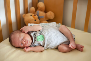 A peaceful baby sleeps in a crib wearing a striped sleep sack. Soft toys are nearby, adding warmth...
