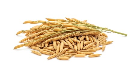 A pile of raw rice grains with wheat stalks isolated on white background