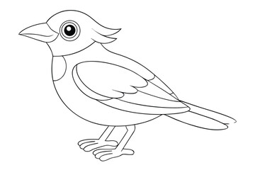 Cute bird illustration for coloring book page