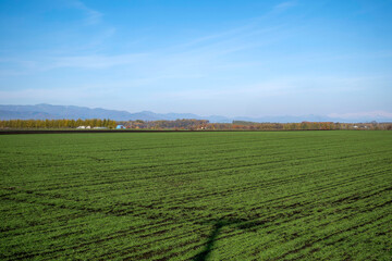 Obihiro Hokkaido Japan  帯広　北海道　日本