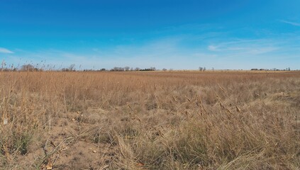 Dry and patchy grassy landscape showing effects of drought and environmental issues