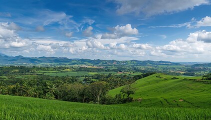 Fototapeta premium Vibrant Costa Rican landscape featuring rich green fields, showcasing agricultural abundance
