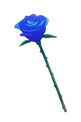 Single Blue Rose with Thorns — Simple Hand Drawn Floral Illustration on Transparent Background