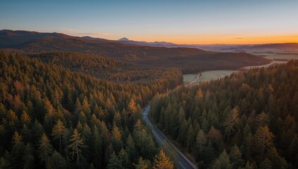 Naklejka premium Aerial view of a mountain road surrounded by woods at sunset, showcasing seasonal change