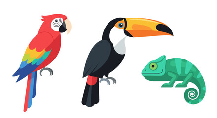 Illustration of tropical wildlife featuring a parrot toucan and chameleon for nature enthusiasts and animal lovers