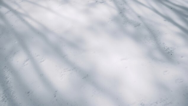 Delicate snow blankets the earth as gentle light reveals its surface details. Tree shadows extend silently, forming striking black and white designs. - Powered by Adobe