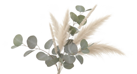 Pampas grass bouquet with eucalyptus leaves