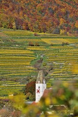 Kirchturm und Weingüter in der Wachau, vertikal