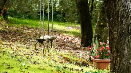 Empty Wooden Swing in a Beautiful Garden &mdash; Peaceful Outdoor Scene