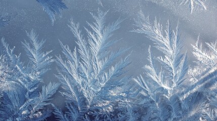 Intricate frost formations cover the glass, displaying beautiful icy designs and reflecting the chill of a winter morning. A serene scene that captures the essence of cold weather.