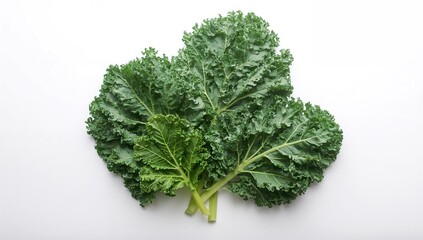 Fototapeta premium Green kale leaves against a plain white background