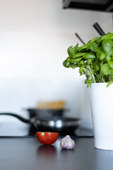 cooking, spaghetti in pot, boiling