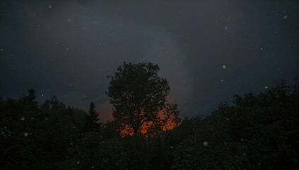 Dark Sky with Stars, potential for stargazing