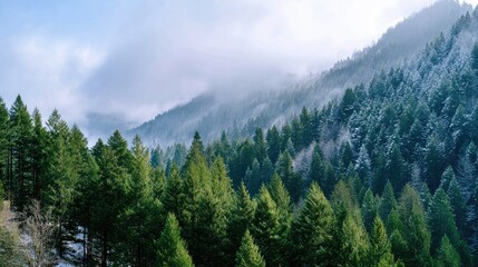 Stunning Mountain Landscape with Lush Green Trees and Foggy Hills Under a Soft Blue Sky in the Morning Light