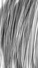 close up of black and white cable