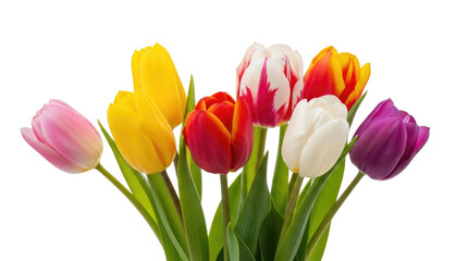 Naklejka premium Bouquet of tulips transparent background cutout png
