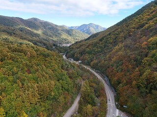 A mountain road with trees on both sides. The road is winding and narrow, and the trees are in various stages of fall. Scene is peaceful and serene, with the beauty of nature on display