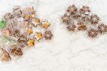 Assorted Christmas Gingerbread Cookies in Festive Packaging