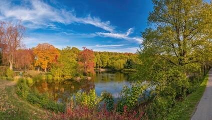 Scenic view of greenery and woodland in a recreational area