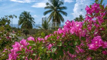 Obraz premium Bougainvillea pink blooms with palm trees in the background, ideal for summer travel scenes