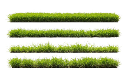 Four rows of lush green grass transparent background cutout png