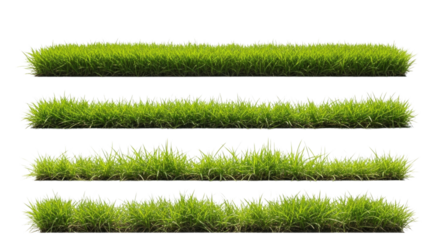 Four rows of lush green grass transparent background cutout png