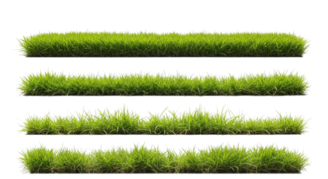 Four rows of lush green grass transparent background cutout png