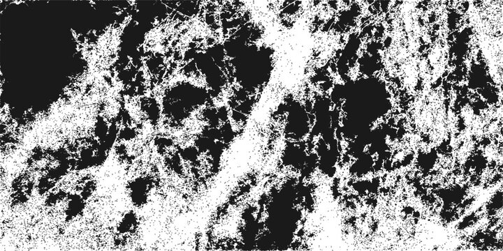 Vintage grunge leopard print vector pattern with black ink splatter border and floral decoration