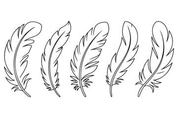 Obraz premium Continuous one line drawing of feather set outline illustration 
