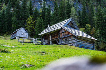 Obraz premium Close-Up of a Hut on a Green Slope in the Julian Alps, Slovenia