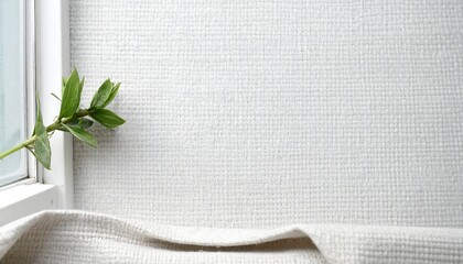 Minimalist White Textured Background with Green Plant and Window.