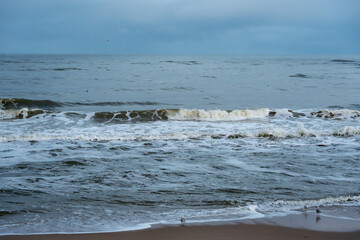 Breaking waves and seagulls. Gentle waves crash on the beach with seagulls standing at the shoreline. A calm moment before the next tide.