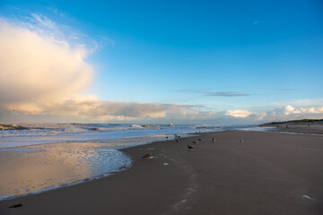 Seagulls rest along the beach as waves break under a glowing sky. The calm evening light bathes the coast in warm tones.