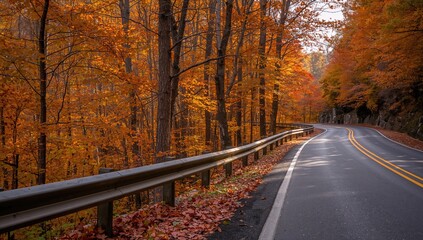 Obraz premium Scenic view along the Blue Ridge Parkway, showcasing seasonal change