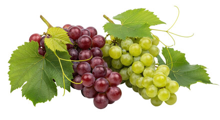 Obraz premium Two bunches of grapes with leaves transparent background cutout png