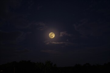 Fototapeta premium Complete lunar orb observed from a southeastern vantage point