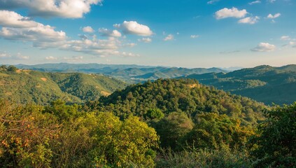 Fototapeta premium Scenic hillside landscape featuring trees and shrubs in a rural area