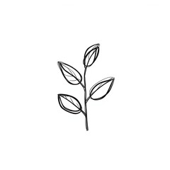 Obraz premium Single plant vector line art on copy space white background/ tree isolated on white background
