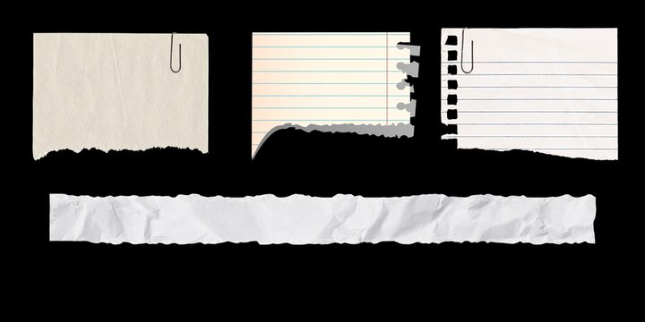Collection of Torn Paper Notes and Strips with Paperclip