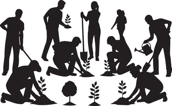 Diverse people silhouettes planting trees together for international volunteer day celebration