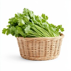 Naklejka premium Fresh Cilantro Herb in Woven Basket for Culinary Use and Ingredient Preparation Food Photography