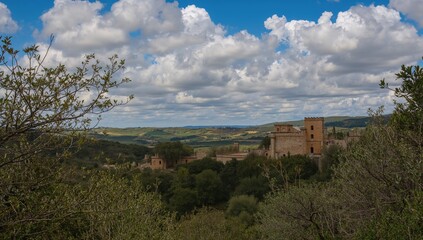 Fototapeta premium Scenic view featuring a birdhouse amidst lush greenery and open sky