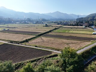 A large field of crops is shown in the image, with a mix of green and brown areas. Scene is peaceful and serene, as the vast expanse of land stretches out in all directions