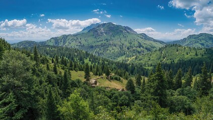 Fototapeta premium The Mountain Region Boasts Exceptional Biodiversity, Featuring One of Europe's Most Diverse Flora and Fauna Species.