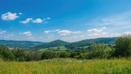 Obraz premium Stunning natural landscape featuring a bright summer sky, ideal for editorial backdrop