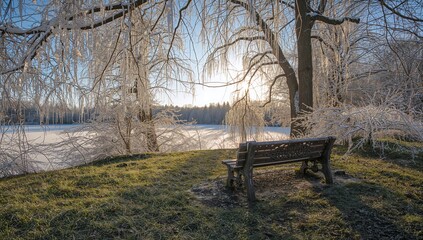 Peaceful snowy scene featuring icy trees and a vintage bench welcoming contemplation at dawn