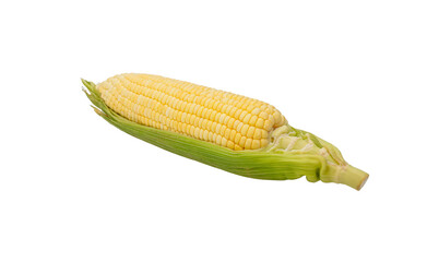Ripe yellow corn with green leaves isolated, concept of organic farming, agricultural product,...